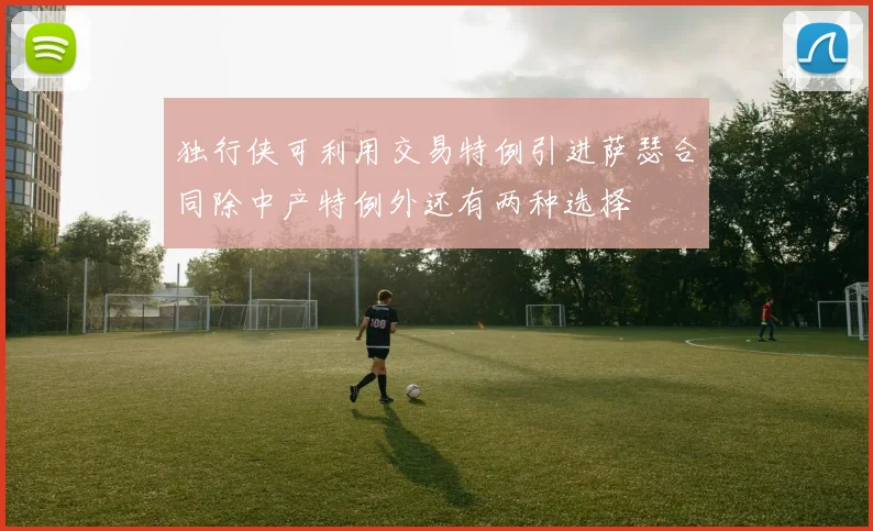 独行侠可利用交易特例引进萨瑟合同除中产特例外还有两种选择