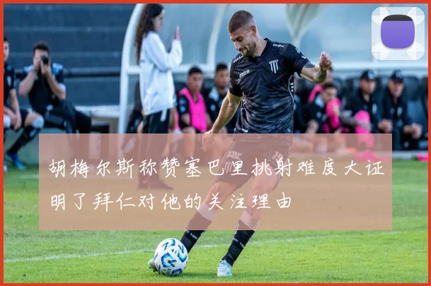 胡梅尔斯称赞塞巴里挑射难度大证明了拜仁对他的关注理由