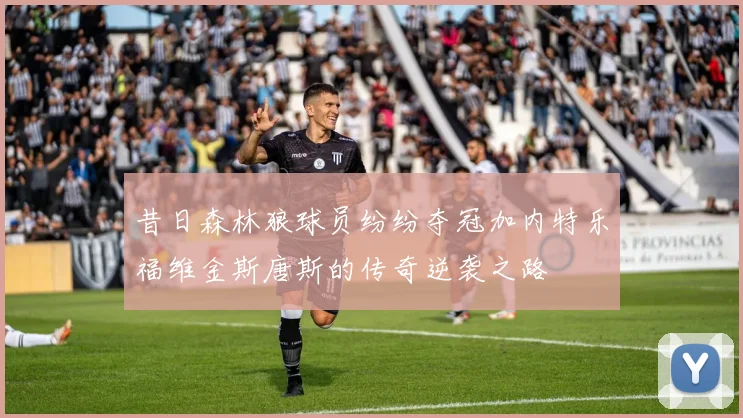 昔日森林狼球员纷纷夺冠加内特乐福维金斯唐斯的传奇逆袭之路
