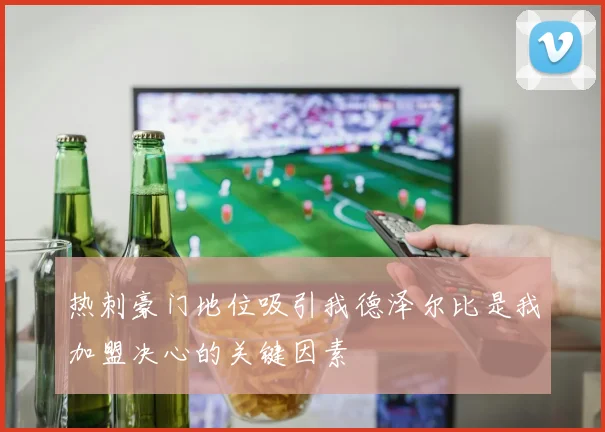 热刺豪门地位吸引我德泽尔比是我加盟决心的关键因素