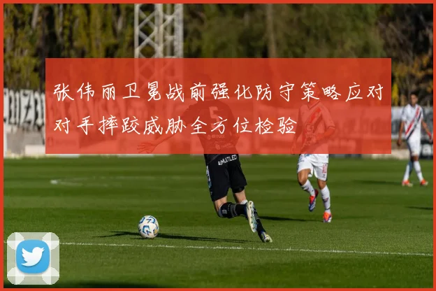 张伟丽卫冕战前强化防守策略应对对手摔跤威胁全方位检验
